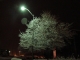 Corner of Hillcrest Dr. and Briarwood Rd. - Winter