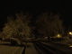 Briarwood Ave. - Winter