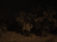 Laporte Ave. - Winter