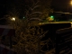 Laporte Ave. - Winter