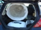 Egg transport
