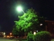 Corner of Hillcrest Dr. and Briarwood Rd. - Summer