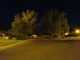 Briarwood Ave. - Summer