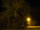Briarwood Ave. - Summer