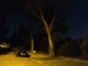 Mountain Ave.