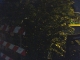 Laporte Ave. - Summer