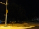 Corner of Taft Hill Rd. and Laporte Ave. - Summer