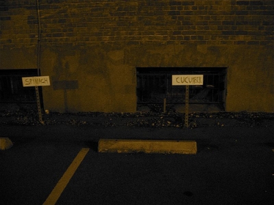 2152123665_c453346892.jpg