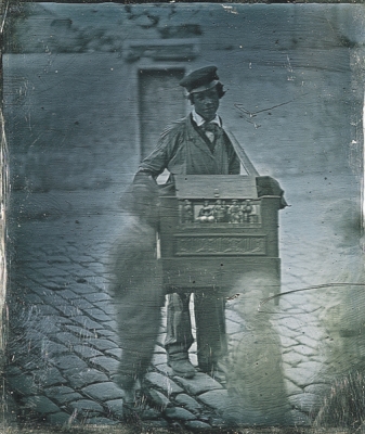 Organ Grinder