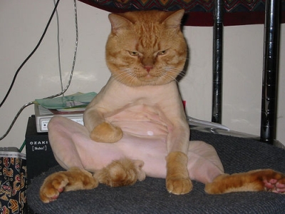 Shaved...