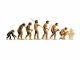 evolution.jpg evolution.jpg