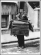 Organ Grinder
