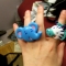 Animal Rings