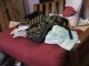 Gross Futon