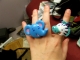 Animal Rings