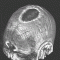 brain.gif