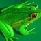 FROG1.BMP