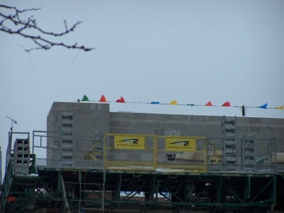 Those silly flags