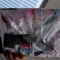 Laminated Laminated