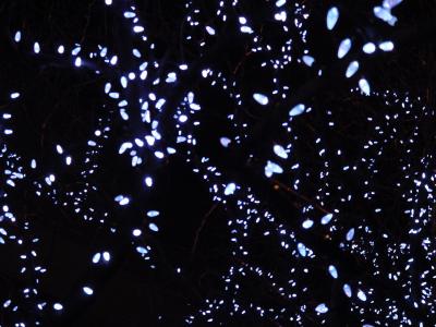 Lights