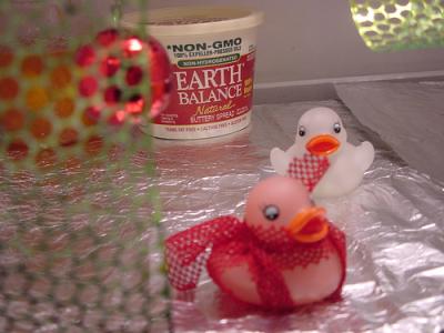 Tiny Fridge Guests