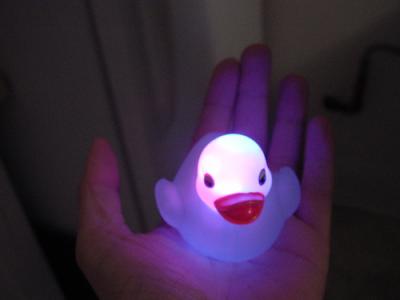 Disco Ducks