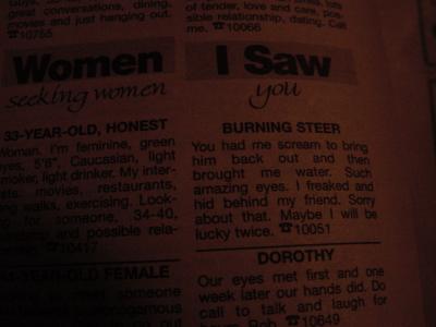 Burning Steer
