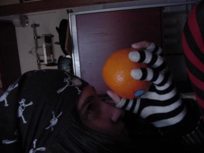 Yar Citrus