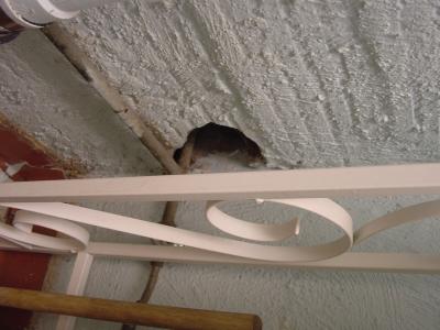 Hole in the Wall for Pipes