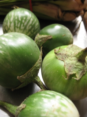 Thai Eggplant! Thai Eggplant!
