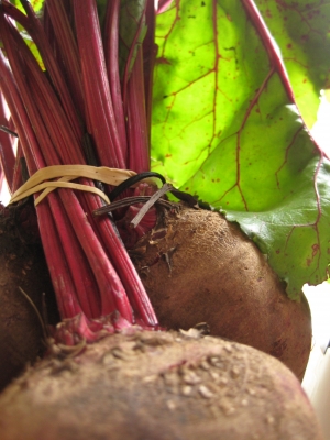 Beets! Beets!