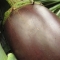 Eggplant!
