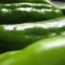 Anaheim peppers