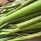 Lemongrass!