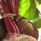 Beets!