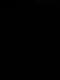 02333 shadow on stairs.jpg