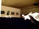 exhibition 5.jpg