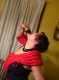 down the hatch