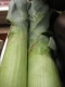 Leeks!