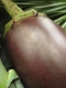 Eggplant!