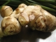 Jerusalem Artichoke!