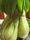 Bok Choy!