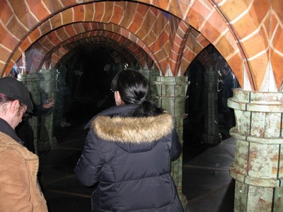 We Enter The Mirror Maze We Enter The Mirror Maze