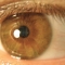mdp's eye