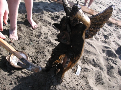 IMG_4463.JPG IMG_4463.JPG