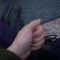 The Callouses on Your Hands by Not Here No More The Callouses on Your Hands by Not Here No More