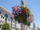 IMG_4704SFØed.jpg