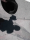 img4854sfed58911.jpg