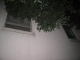 IMG_7873.JPG