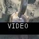 MVI_4467.MOV